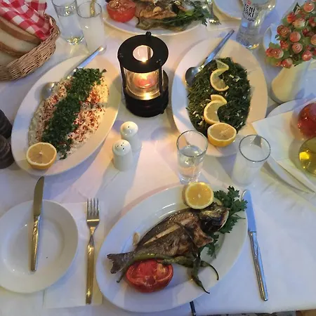 بيت ضيافة Efes غومولدور